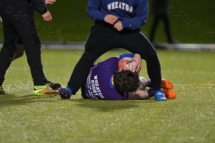 Wheaton College Men\'s Rugby vs Salve Regina. - Photo By: KEITH NORDSTROM